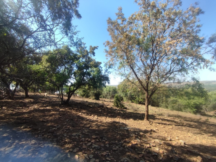 3 Bedroom Property for Sale in Derby North West